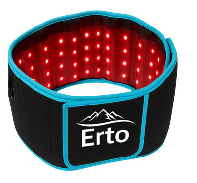 Erto